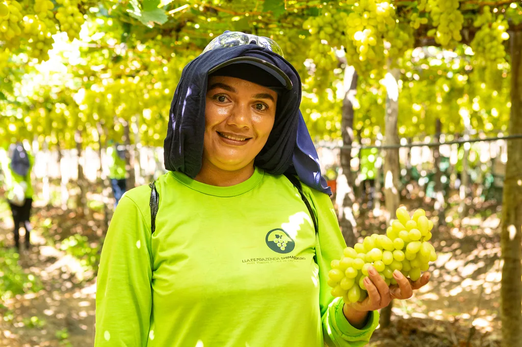 Colaboradora da Special Fruit em meio aos parreirais