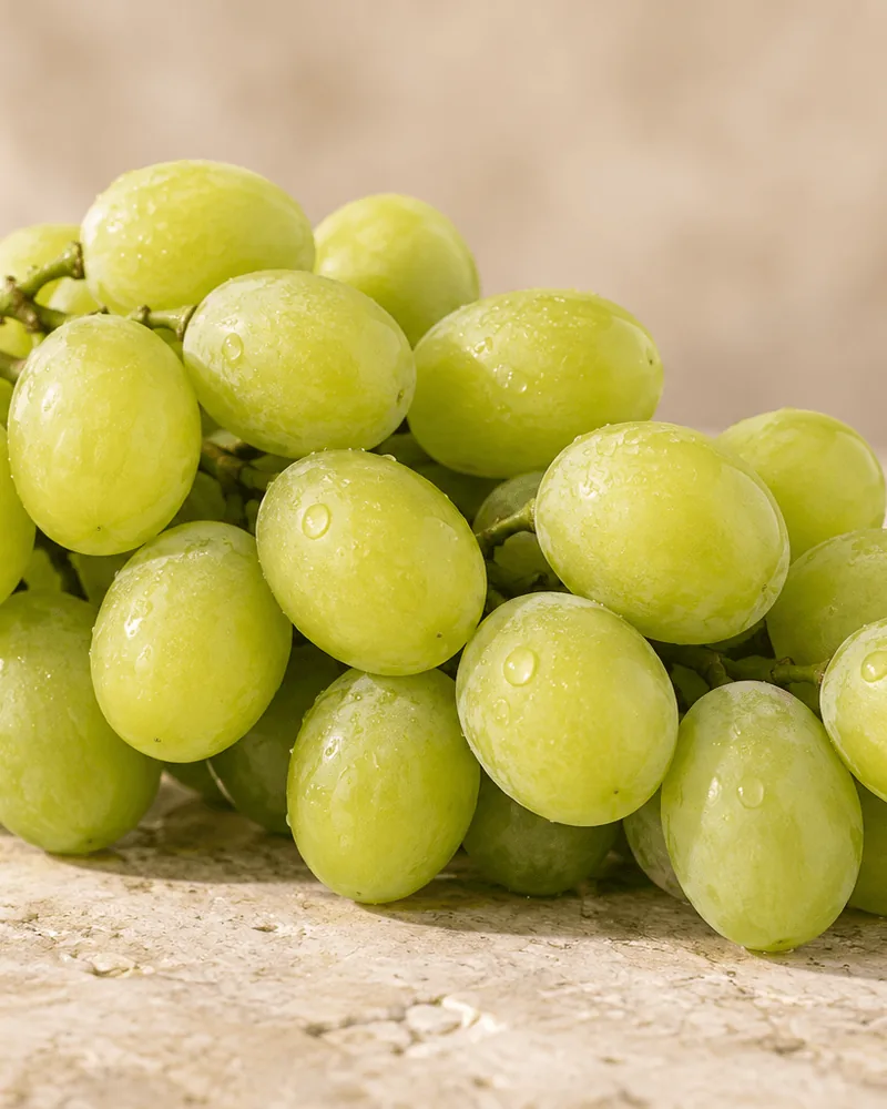 Special Fruit 种植的 Autumn Crisp 葡萄