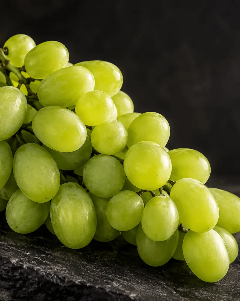 Special Fruit 种植的 Sugar Crisp 葡萄