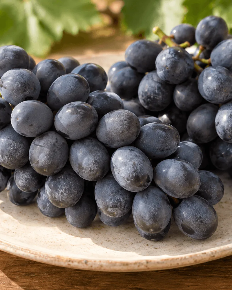 Special Fruit 种植的 Sweet Jubilee 葡萄